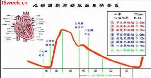 光纤压力传感器在医疗动脉血压监测系统中的应用,光纤压力传感器在医疗动脉血压监测系统中的应用,第2张