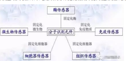 我国分子生物传感器研究方面已取得重大突破,我国分子生物传感器研究方面已取得重大突破,第2张