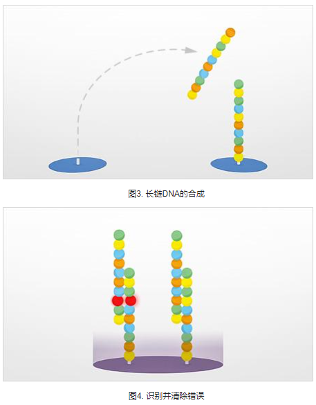 挽救生命的合成生物学解决方案,第3张