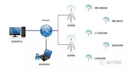 物联网中的无线传感器具备哪些特点,物联网中的无线传感器具备哪些特点,第2张