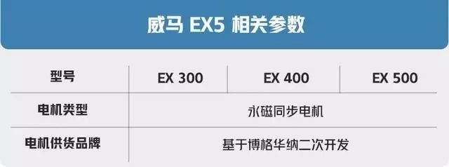 电机大揭秘：你不知道的国产主流电动汽车电机,第7张