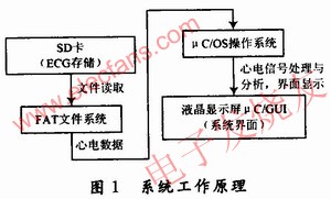 基于ARM9芯片AT91SAM9261S的心电诊断系统的设计,第2张