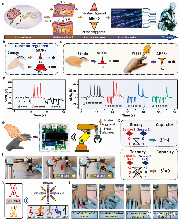 集成传感器阵列的电子皮肤应变感知示意图,28a3e5ca-0edb-11ed-ba43-dac502259ad0.png,第4张