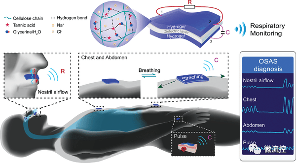 水凝胶传感器在呼吸监测和睡眠障碍疾病预防中实际应用提供新思路,5dd8e578-0fa4-11ed-ba43-dac502259ad0.png,第2张
