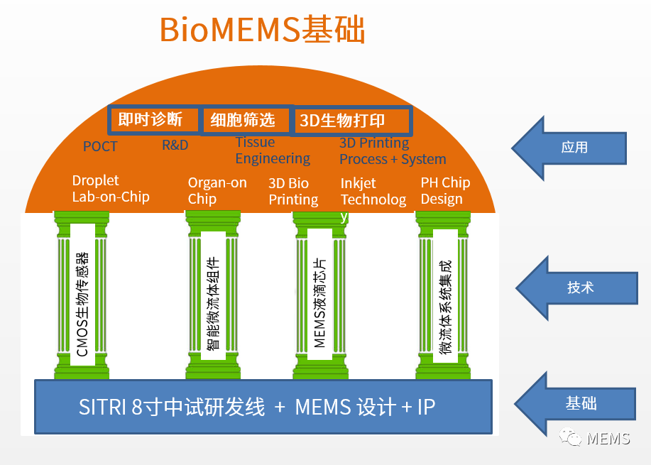 一种用于植入式生物传感器的组织工程方法,f7fa36d8-1388-11ed-ba43-dac502259ad0.png,第5张