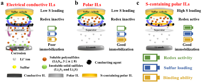 一种用于高能量和长循环Li-S电池的极性和氧化还原活性中间层概念,fafadea2-21a5-11ed-ba43-dac502259ad0.png,第2张