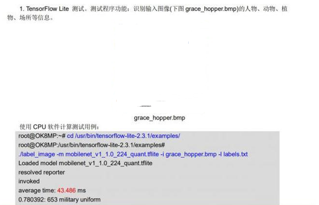 iMX8MP开发板移植官方NPU TensorFlow例程,pYYBAGMB4SKANmZ7AAHnuLQIDYw827.png,第2张