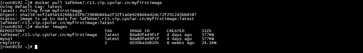 如何在Linux上搭建本地Docker Registry并实现远程连接,img,第10张