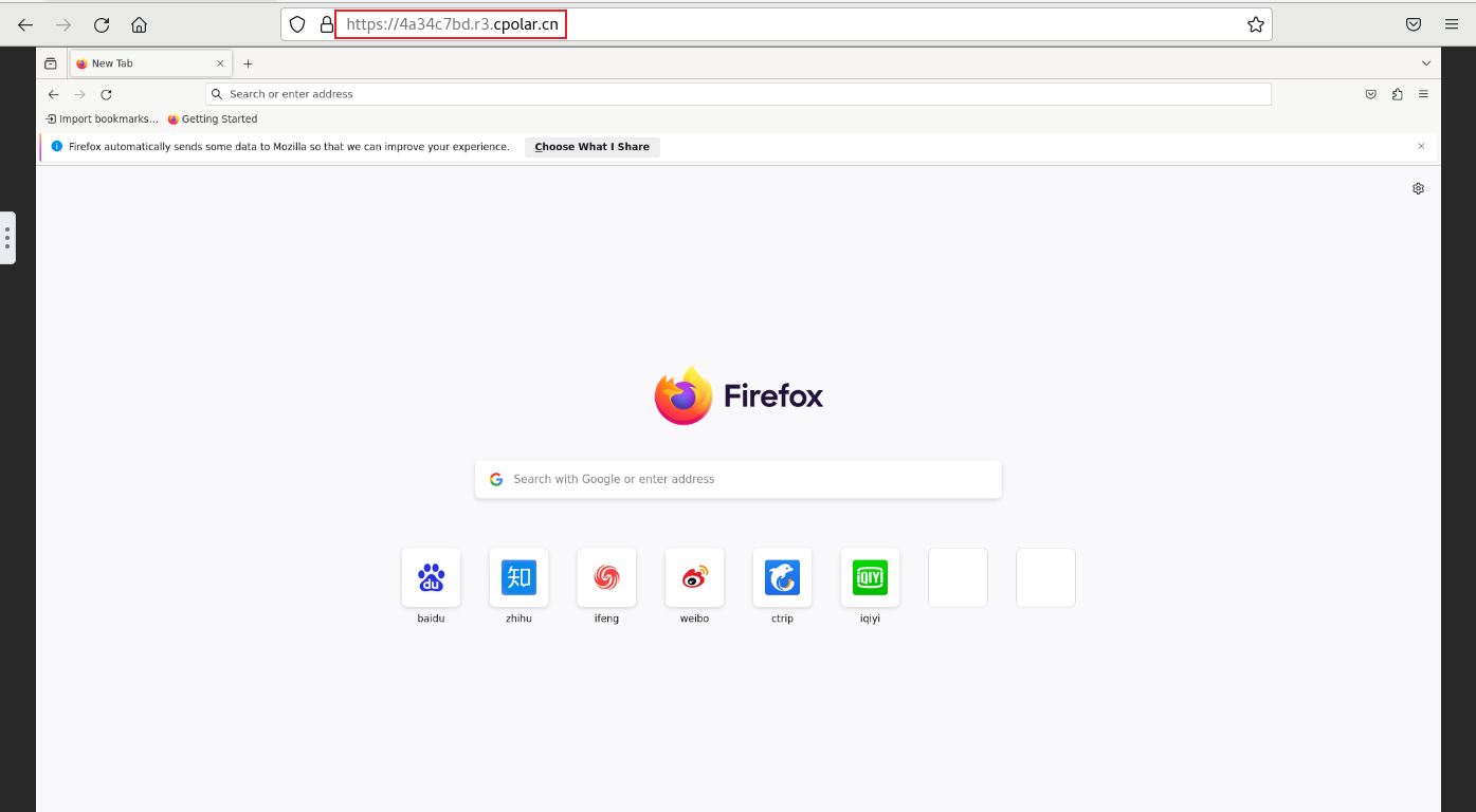Docker本地部署Firefox火狐浏览器并远程访问,image-20231127141903529,第8张