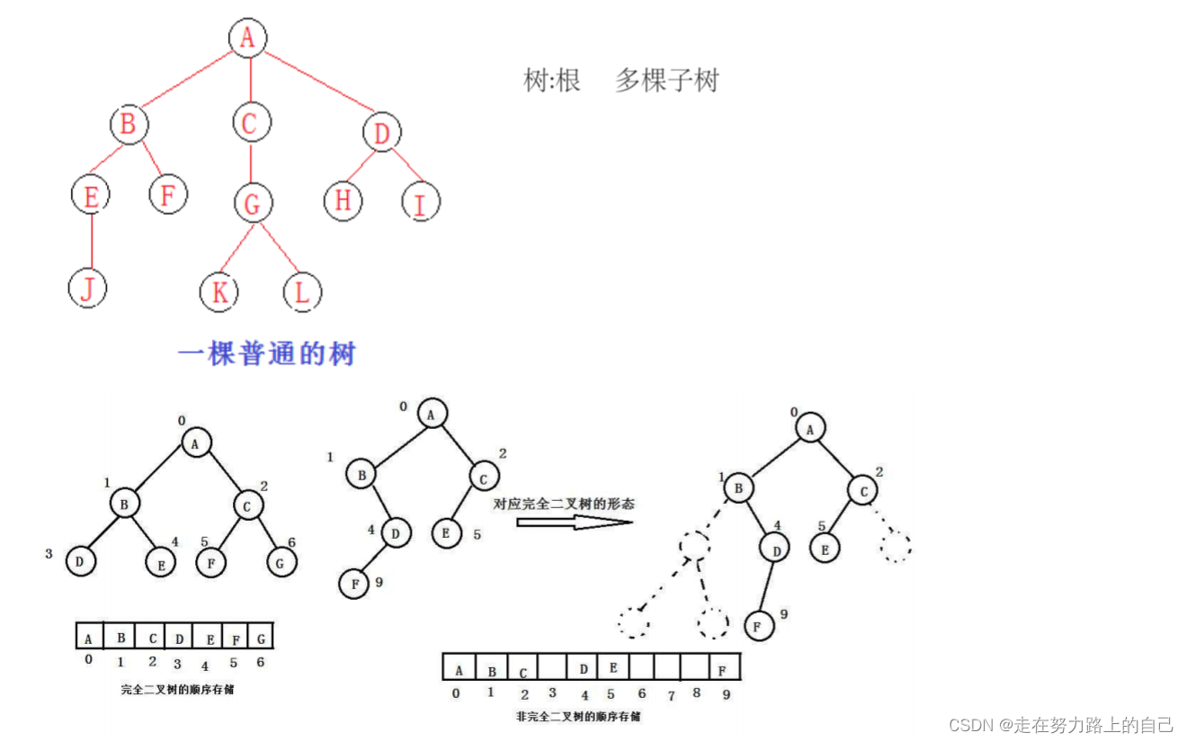 二叉树详解(深度优先遍历、前序，中序，后序、广度优先遍历、二叉树所有节点的个数、叶节点的个数),第15张