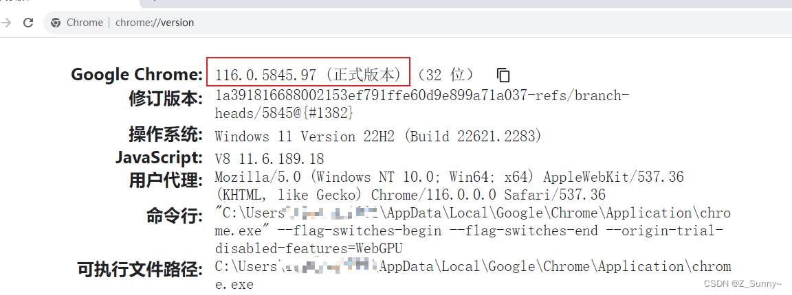 Selenium安装WebDriver最新Chrome驱动(含116117118119),第2张