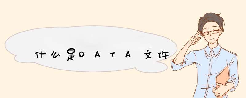 什么是DATA文件,第1张