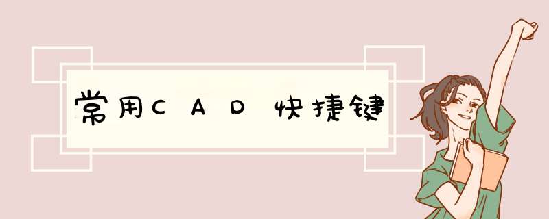 常用CAD快捷键,第1张