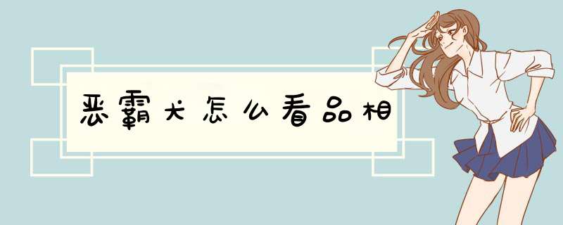 恶霸犬怎么看品相,第1张