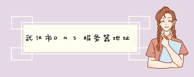 武汉市DNS服务器地址,第1张