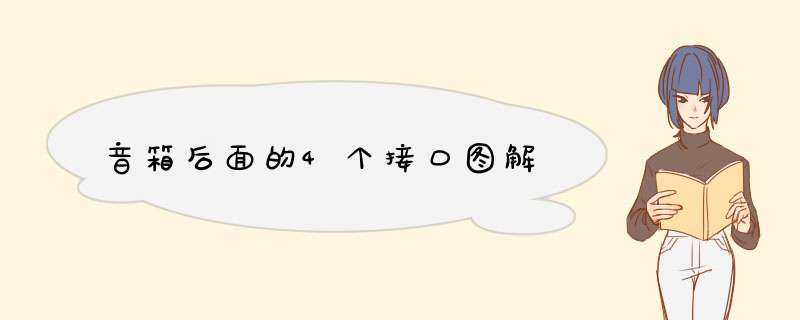 音箱后面的4个接口图解,第1张