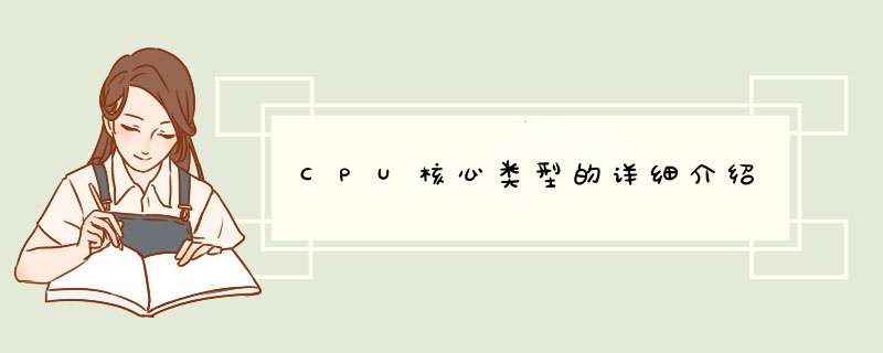 CPU核心类型的详细介绍,第1张