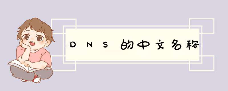 DNS的中文名称,第1张