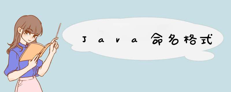 Java命名格式,第1张