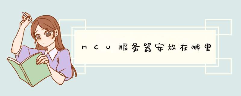 MCU服务器安放在哪里,第1张