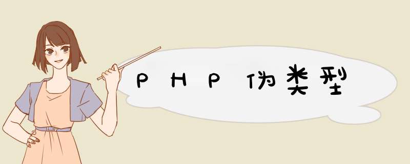 PHP伪类型,第1张