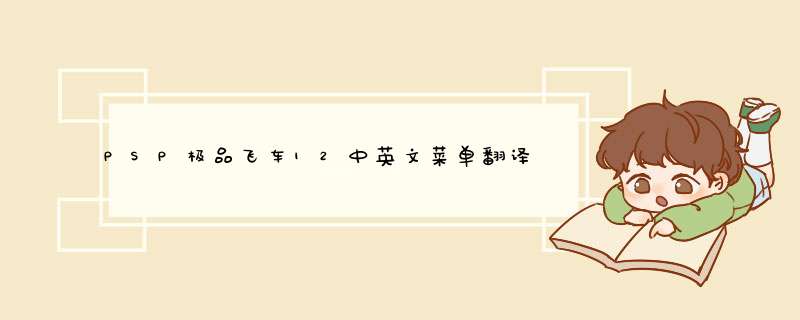 PSP极品飞车12中英文菜单翻译问题！！！高分！！！,第1张