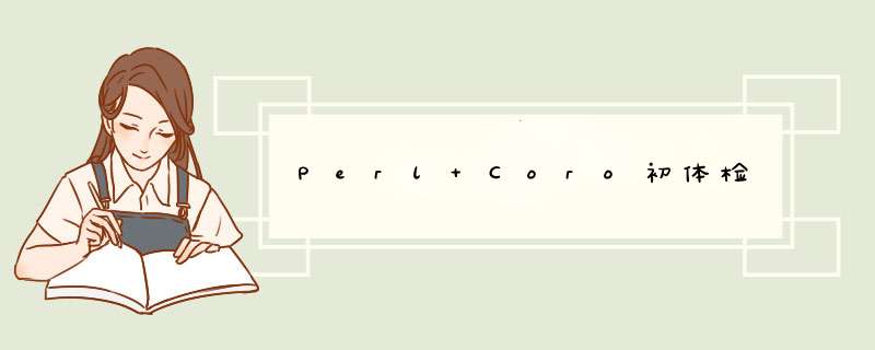 Perl Coro初体检,第1张