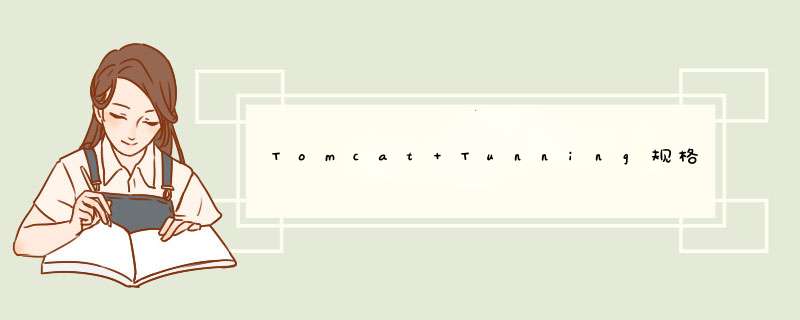 Tomcat Tunning规格严格,第1张