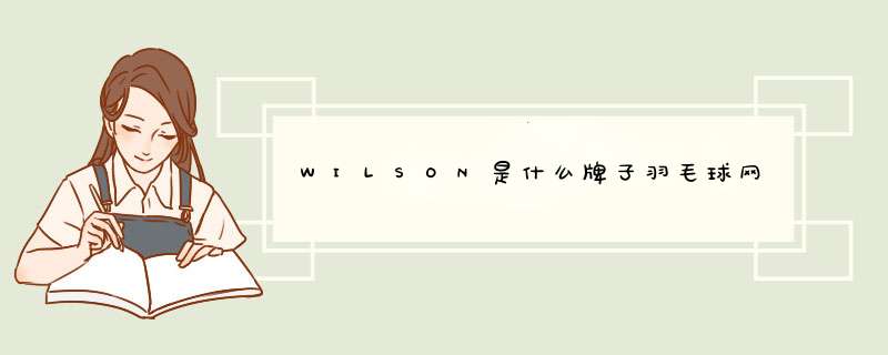 WILSON是什么牌子羽毛球网,第1张
