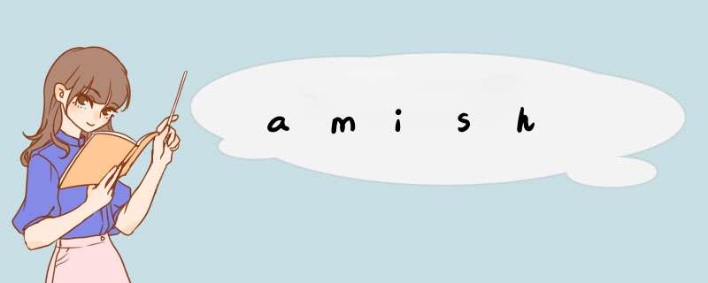 amish,第1张
