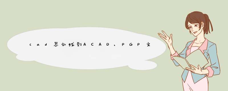 cad怎么找到ACAD,PGP文件?,第1张