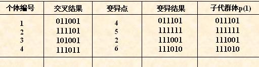 遗传算法的手工模拟计算示例,第5张