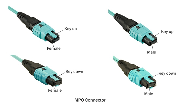 详谈MPOMTP光纤跳线的芯数、公母头和极性分类,详谈MPO/MTP光纤跳线的芯数、公母头和极性分类,第3张