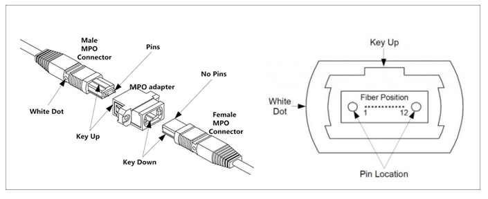 MPO光纤连接器光纤跳线：满足400G的高速传输需求,MPO光纤连接器/光纤跳线：满足400G的高速传输需求,第2张