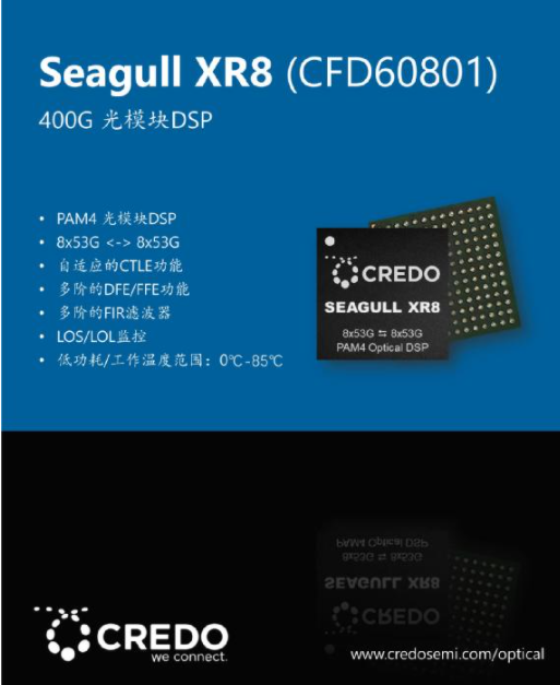 Credo 光DSP再添新成员：Seagull 110和Seagull XR8,第3张