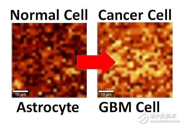 石墨烯未来还能用于发现癌症细胞,果然是万能材料,石墨烯未来还能用于发现癌症细胞,果然是万能材料,第3张