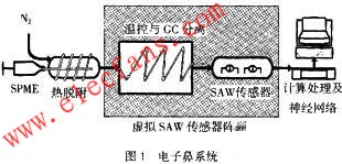 基于虚拟气体传感器阵列的电子鼻设计,电子鼻,第2张