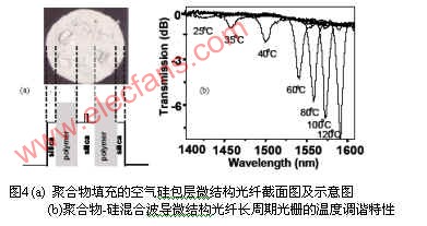 光子晶体光纤光栅的制备方法及其应用,第4张