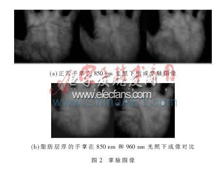 基于TVP5146的掌脉图像采集系统的设计,第3张