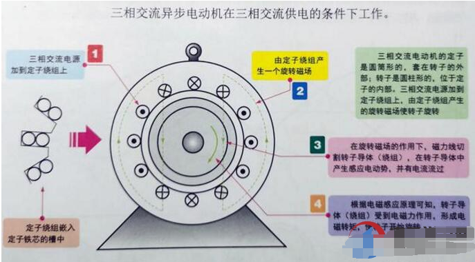 三相异步电动机旋转原理是什么？,o4YBAGCBLPuAZ7NeAASo8-mOh_I706.png,第2张