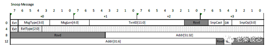 CCIX协议层,b4f8425e-1201-11ed-ba43-dac502259ad0.png,第9张