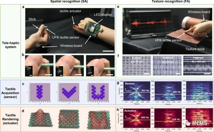 韩国开研究人员发出一种新型超灵活的远程触觉系统,e4a543b0-32b5-11ed-ba43-dac502259ad0.jpg,第6张