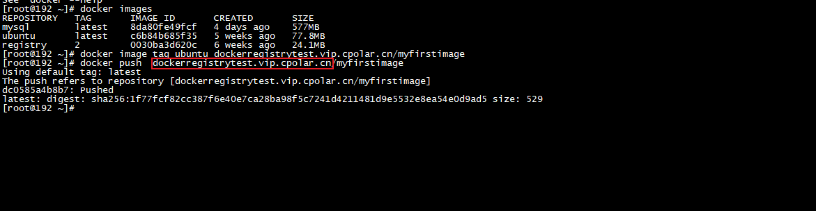 如何在Linux上搭建本地Docker Registry并实现远程连接,image-20230920155453247,第17张