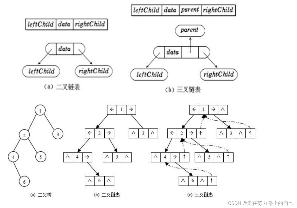 二叉树详解(深度优先遍历、前序，中序，后序、广度优先遍历、二叉树所有节点的个数、叶节点的个数),第16张