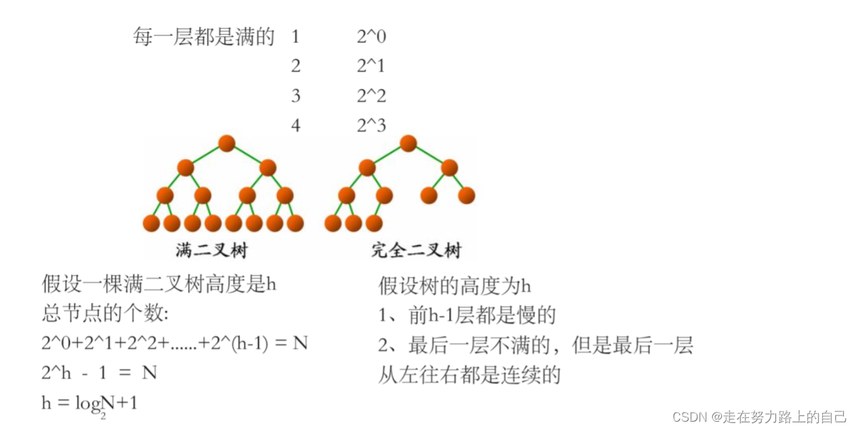 二叉树详解(深度优先遍历、前序，中序，后序、广度优先遍历、二叉树所有节点的个数、叶节点的个数),第13张