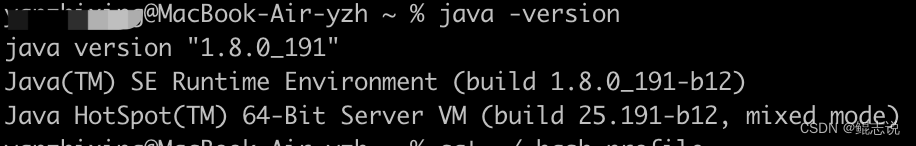 我把springboot项目从Java 8 升级 到了Java 17 的过程总结，愿为君提前踩坑！,在这里插入图片描述,第7张