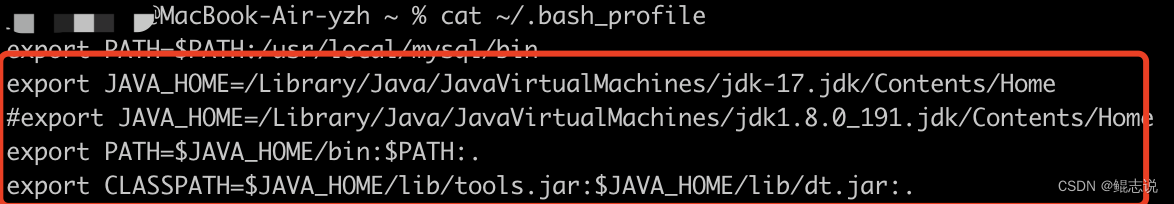 我把springboot项目从Java 8 升级 到了Java 17 的过程总结，愿为君提前踩坑！,在这里插入图片描述,第10张