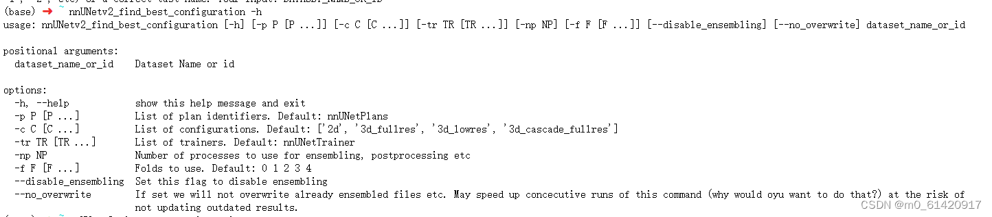 nnU-Netv2在服务器上使用全流程（小白边踩坑边学习的记录）,第24张